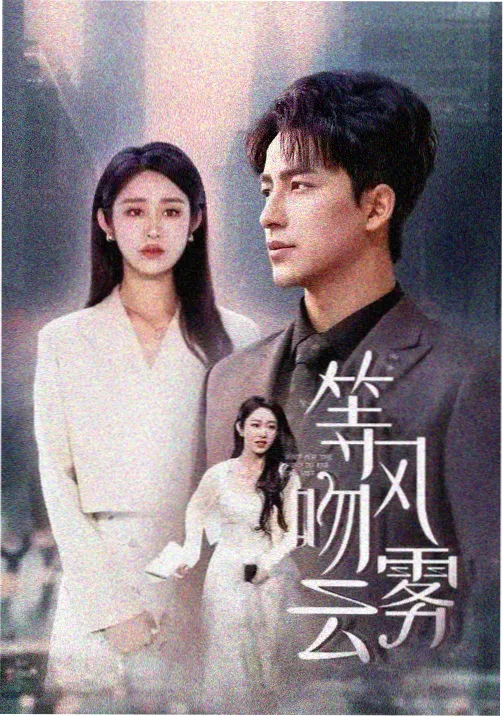 《山月不知心底事》剧集海报